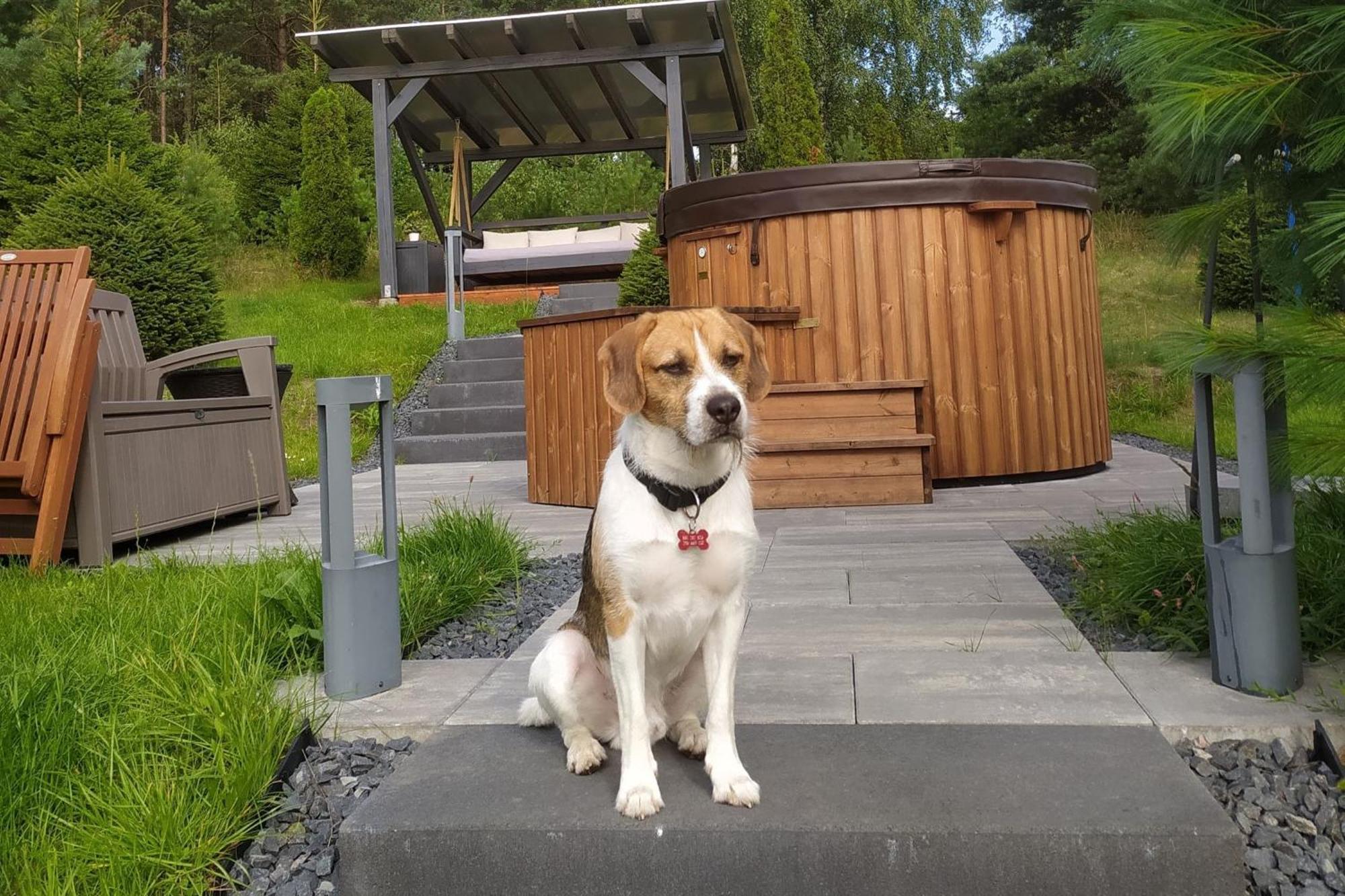 Dom Na Wzgorzu Z Widokiem Na Jezioro Z Balia I Sauna Lipnica  外观 照片